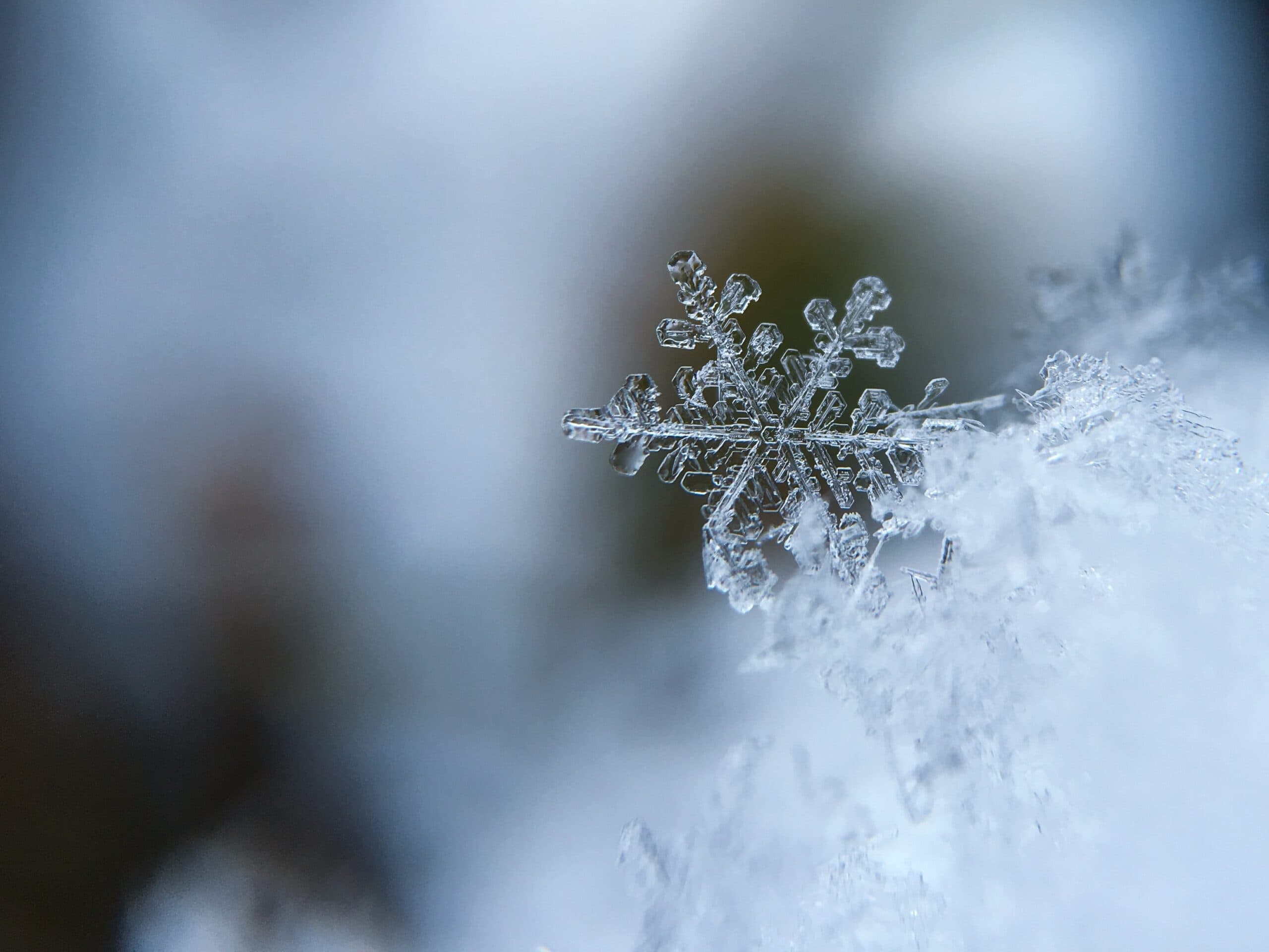 Winter. Beleiver's Best Season