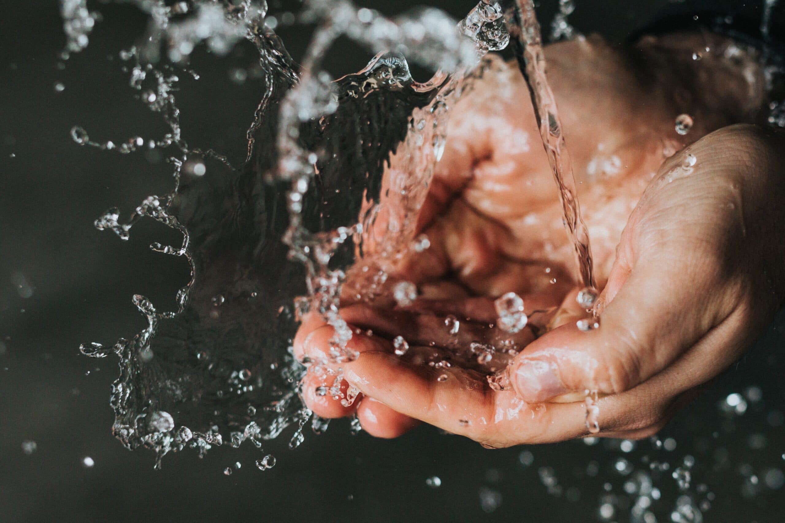 Cleanliness And Purification